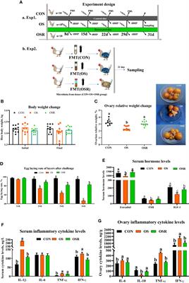 Resveratrol Alleviating the Ovarian Function Under Oxidative Stress by Alternating Microbiota Related Tryptophan-Kynurenine Pathway